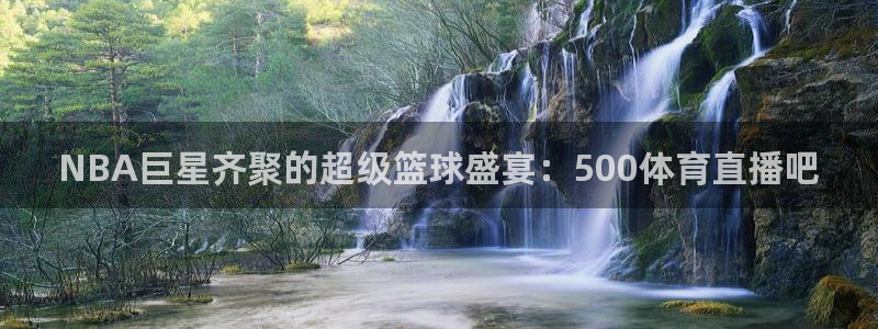 NBA巨星齐聚的超级篮球盛宴：500体育直播吧
