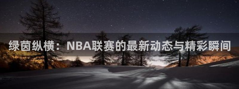 绿茵纵横：NBA联赛的最新动态与精彩瞬间