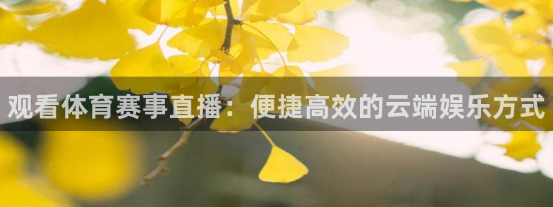 观看体育赛事直播：便捷高效的云端娱乐方式