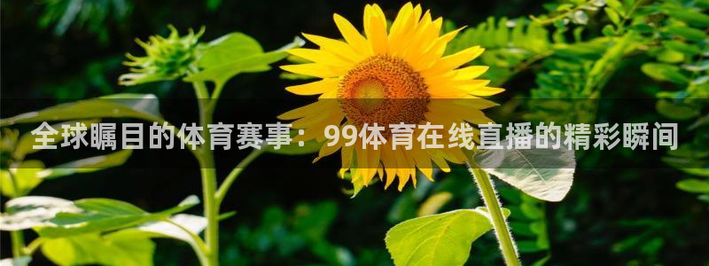 全球瞩目的体育赛事：99体育在线直播的精彩瞬间