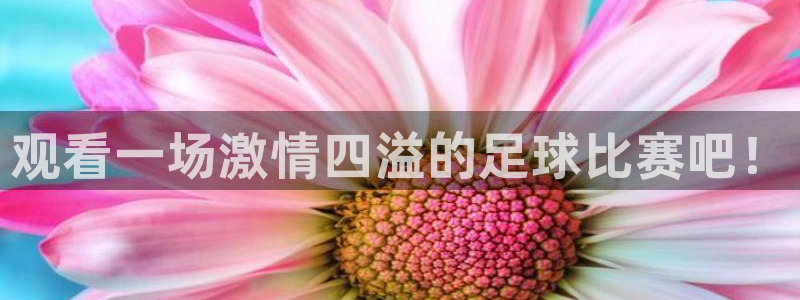 观看一场激情四溢的足球比赛吧！
