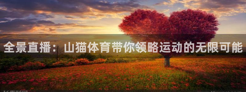 全景直播：山猫体育带你领略运动的无限可能