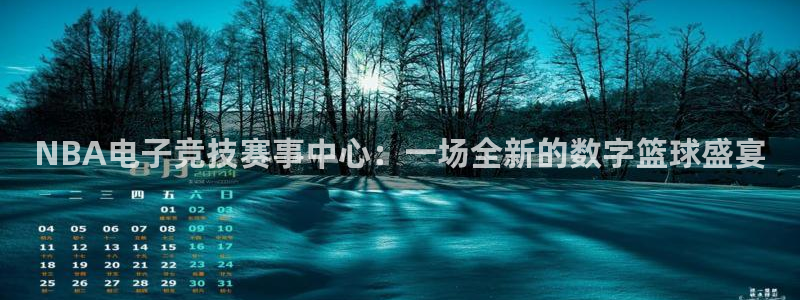 NBA电子竞技赛事中心：一场全新的数字篮球盛宴