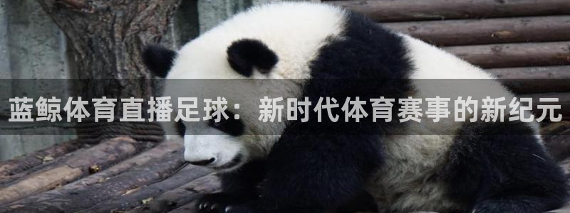 蓝鲸体育直播足球：新时代体育赛事的新纪元