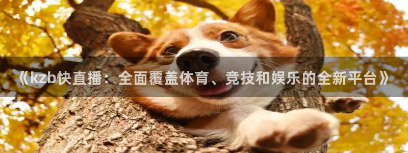 《kzb快直播：全面覆盖体育、竞技和娱乐的全新平台》