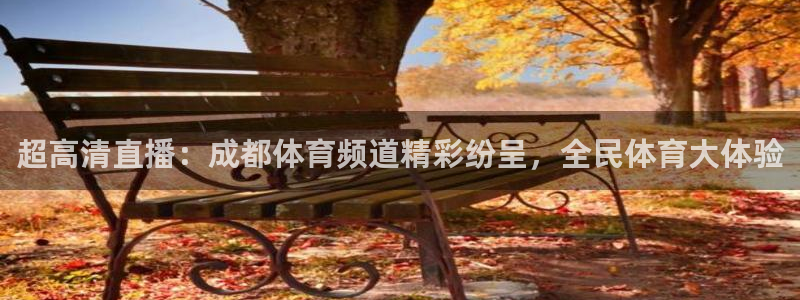 超高清直播：成都体育频道精彩纷呈，全民体育大体验