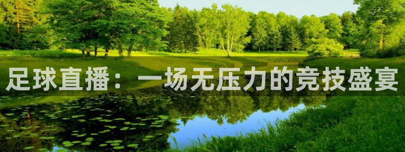 足球直播：一场无压力的竞技盛宴