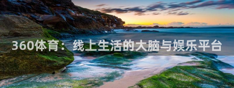 360体育：线上生活的大脑与娱乐平台