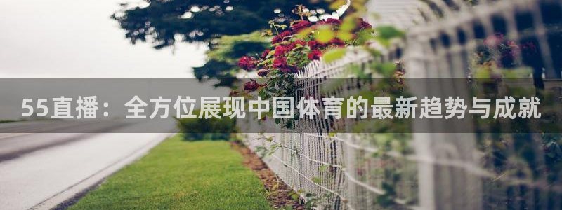55直播：全方位展现中国体育的最新趋势与成就