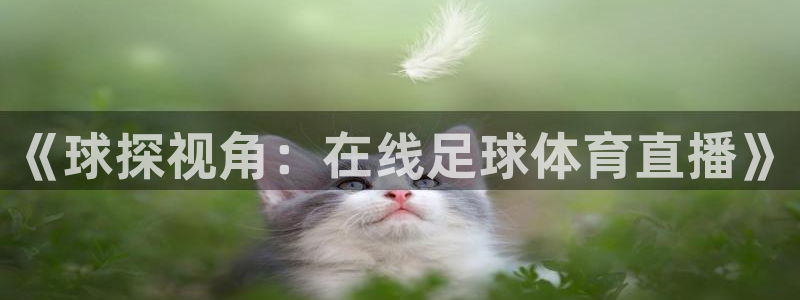 《球探视角：在线足球体育直播》