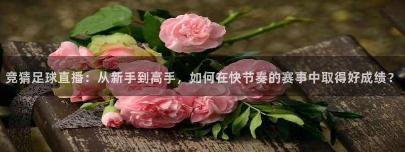 竞猜足球直播：从新手到高手，如何在快节奏的赛事中取得好成绩？