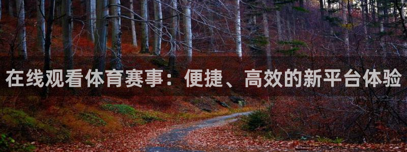 在线观看体育赛事：便捷、高效的新平台体验