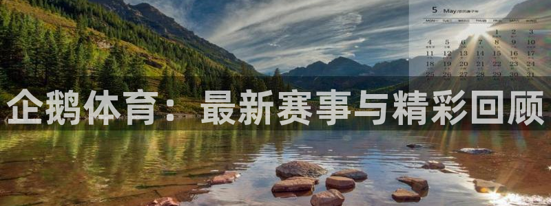 企鹅体育：最新赛事与精彩回顾