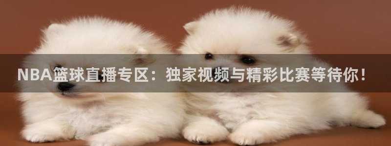 NBA篮球直播专区：独家视频与精彩比赛等待你！