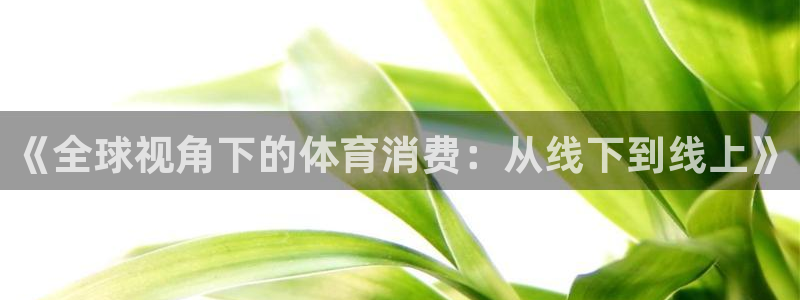 《全球视角下的体育消费：从线下到线上》