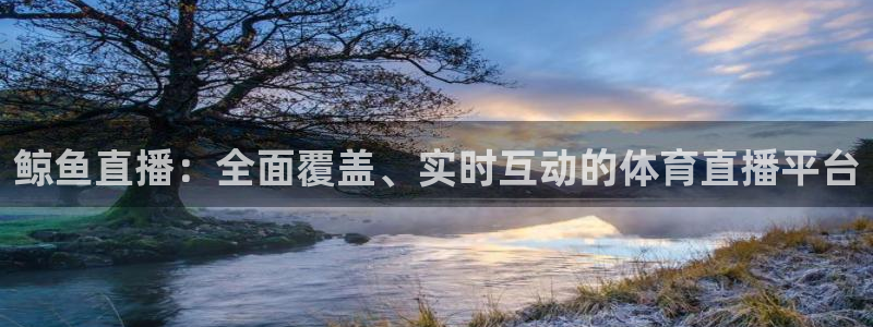 鲸鱼直播：全面覆盖、实时互动的体育直播平台