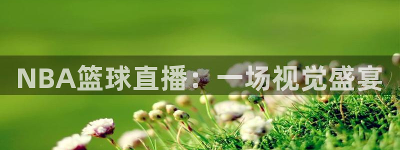 NBA篮球直播：一场视觉盛宴