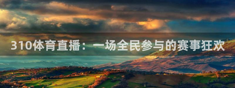 310体育直播：一场全民参与的赛事狂欢