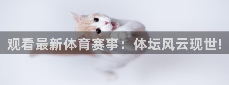 观看最新体育赛事：体坛风云现世!